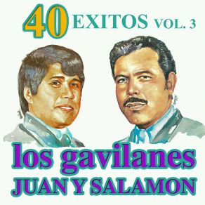 40 Exitos Vol. 3 album cover