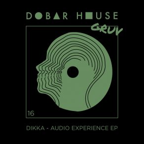 Audio Experience album cover