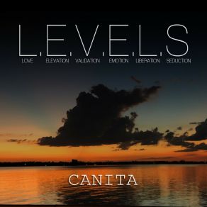 L. E. V. E. L. S album cover