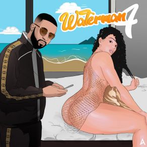 Waterman 4 album cover
