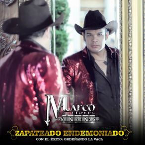 Zapateado Endemoniado album cover