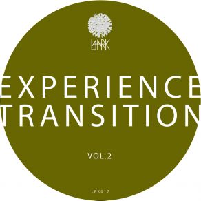 Experience Transition, Vol. 2 album cover