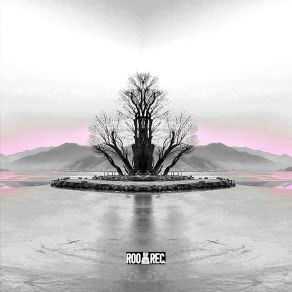 Qualm album cover