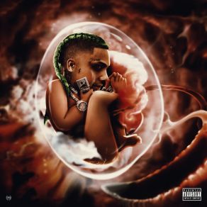 Backend Baby album cover