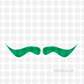 Águas Rasas album cover