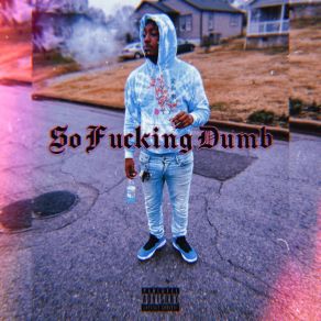 So Fucking Dumb album cover