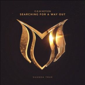 Searching For A Way Out (Maxi-Single) album cover