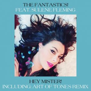 Hey Mister! album cover