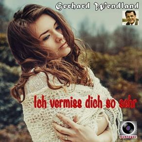 Du Fehlst Mir So Sehr album cover