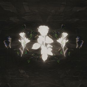 Windflower: The Remixes album cover