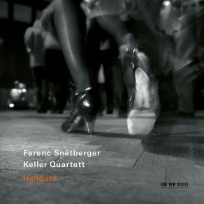Ferenc Snetberger - Hallgato album cover