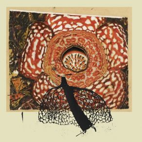 Rainbow De Nuit (L. Marionette) album cover