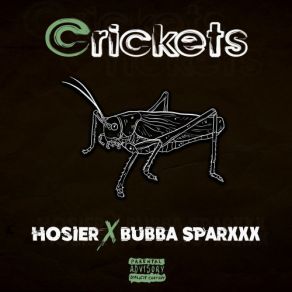 Crickets album cover