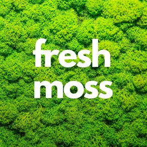 Fresh Moss album cover
