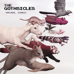Animal Songs album cover