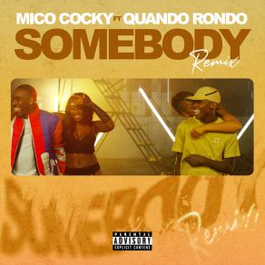 Somebody album cover