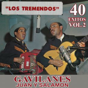 40 Exitos, Vol. 2 album cover