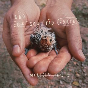 Não Sou Tão Forte album cover