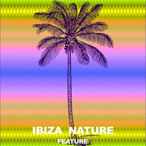 Feature album cover