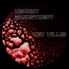 Memory Adjustment album cover