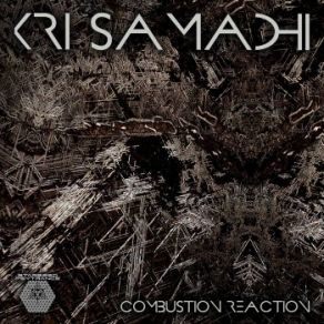 Combustion Reaction album cover