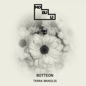 Terra Brasilis album cover