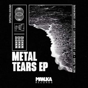 Metal Tears album cover