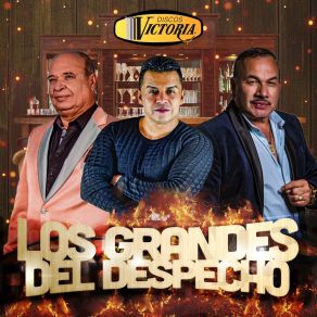 Los Grandes Del Despecho album cover