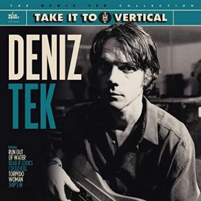 Take It To The Vertical album cover