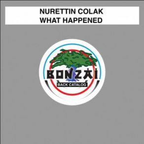 What Happened (Maxi-Single) album cover