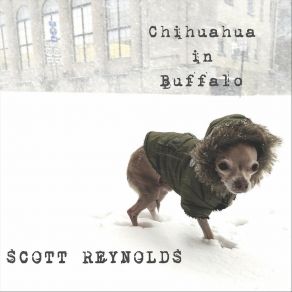 Chihuahua In Buffalo album cover