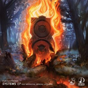 Systems album cover