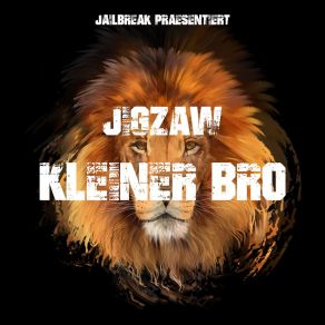 Kleiner Bro album cover