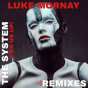 The System (F'ed Us Up) (The Remixes) album cover