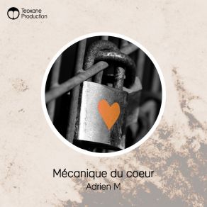 Mécanique Du Cœur album cover