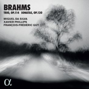 Brahms: Trio, Op. 114 & Sonatas, Op. 120 album cover