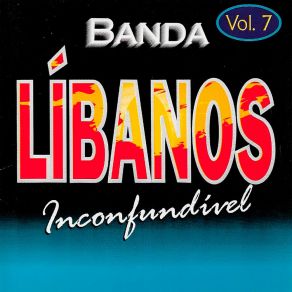 O Que Passou, Passou, Vol. 7 album cover