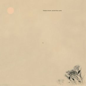 Flowers Bloom, Butterflies Come album cover