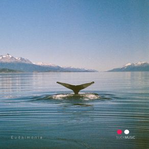 Patagonia album cover
