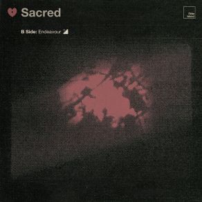 Sacred album cover