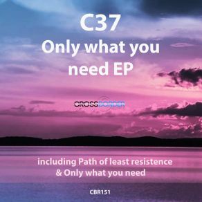 Only What You Need album cover