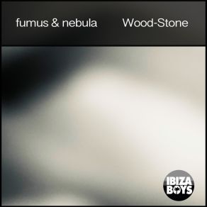 Wood-Stone album cover