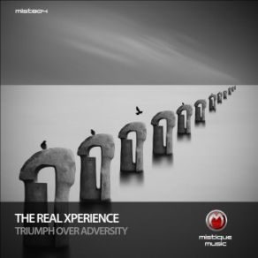 Triumph Over Adversity (Maxi-Single) album cover