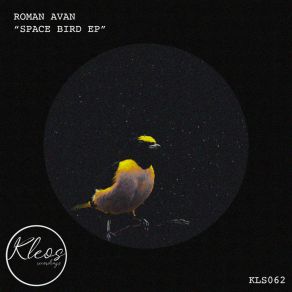 Space Birds album cover