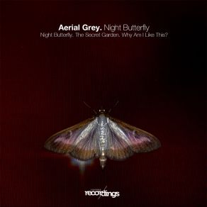 Night Butterfly album cover