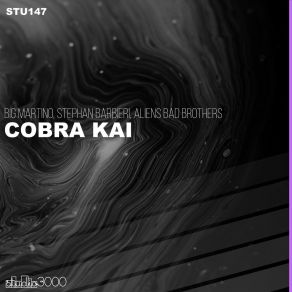 Cobra Kai album cover