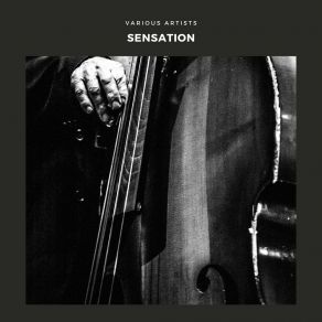 Sensation album cover