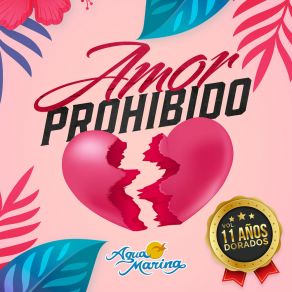 Amor Prohibido Vol. 11 Años Dorados album cover