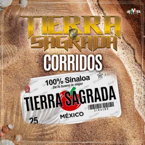 Corridos 100% Sinaloa album cover