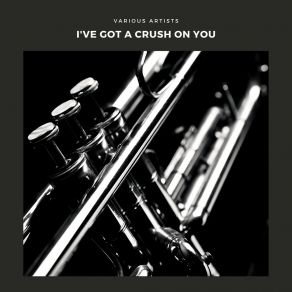 I've Got A Crush On You album cover